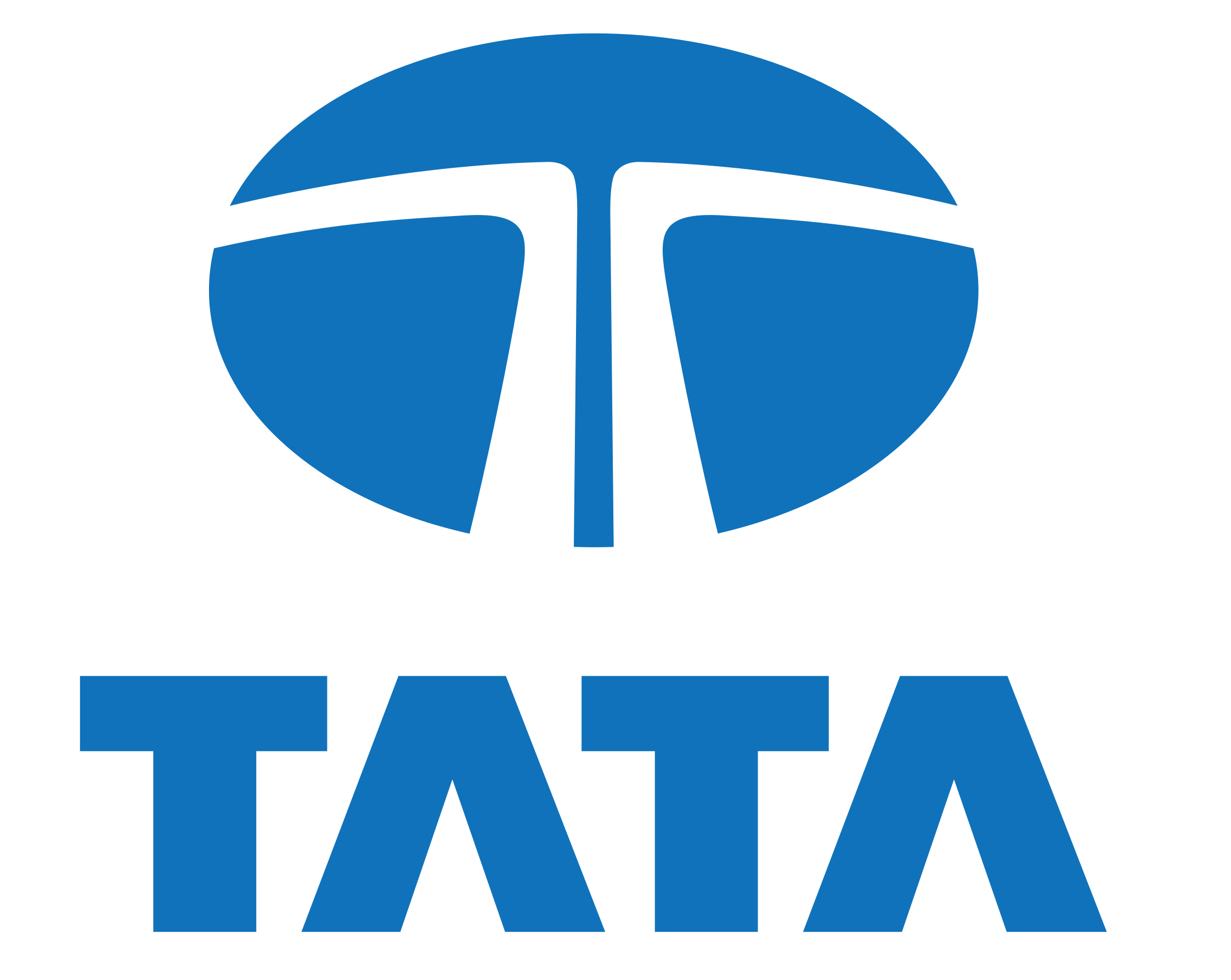 Tata Consultancy Services
